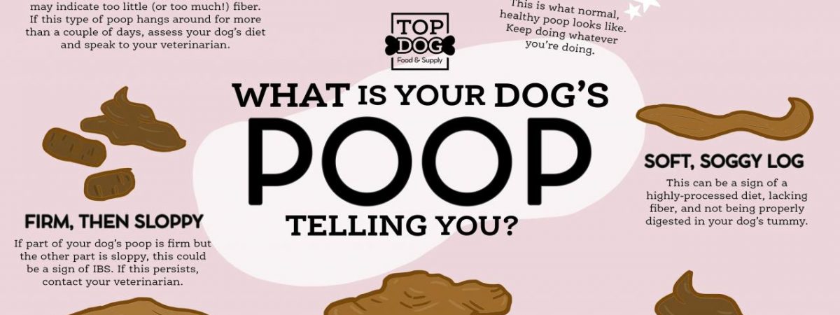 How does stress impact physical health and well-being?