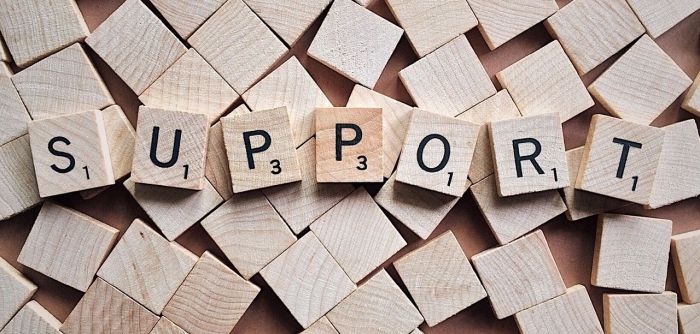 How to support gut health through diet and lifestyle changes?